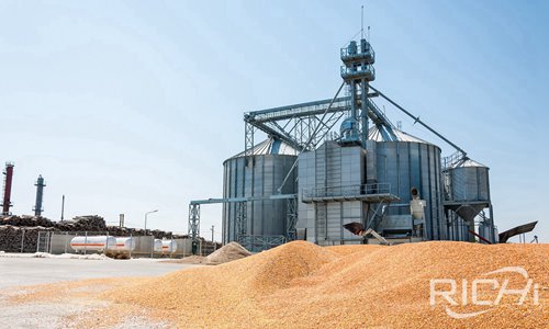 Automatic Chicken Feed Pellet Making Plant In Colombia