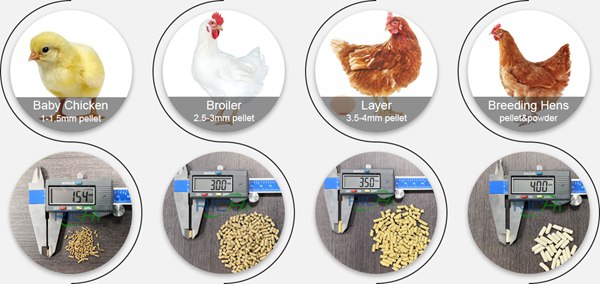 Chicken Feed Pellets Of Different Kind Of Feed Formula