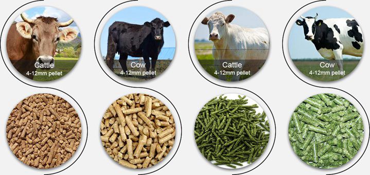 benefits of cattle feed pellets