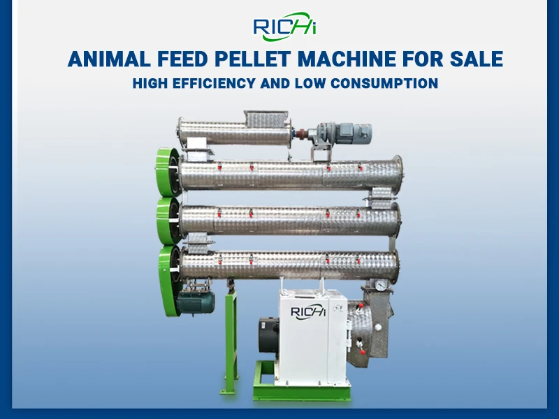 animal feed pellet machine for sale featured image