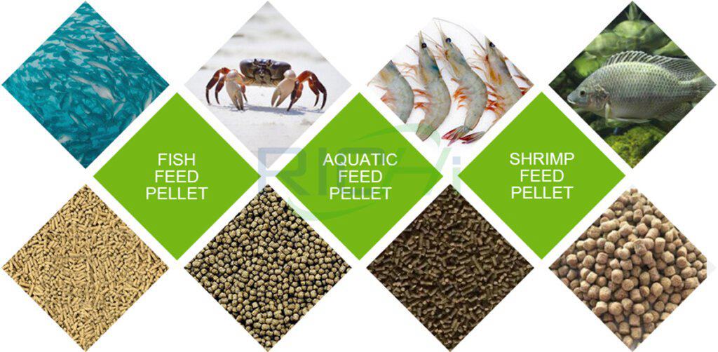 How to start a complete aqua feed plant