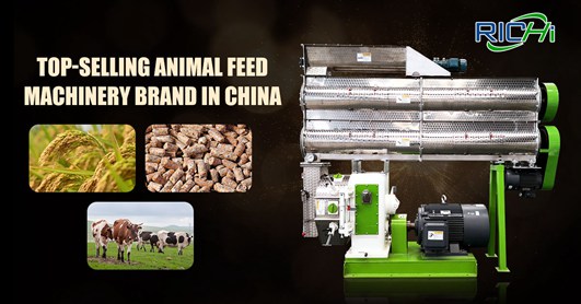 Cow feed pellet making machine