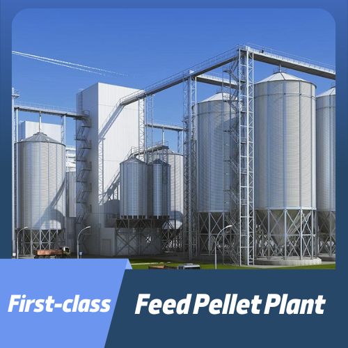 feed pellet production line