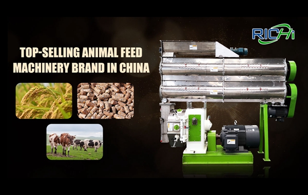 feed pellet project solution