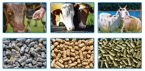 livestock and raw materials of livestock feed pellets