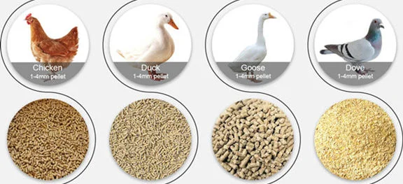 poultry and poultry feed pellets