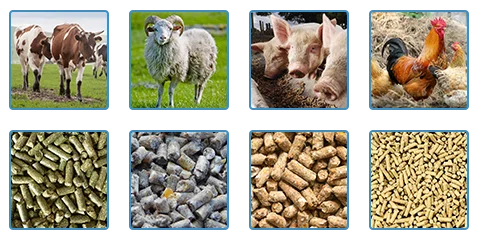 various animal feed pellets