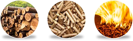 raw materials of biomass pellets