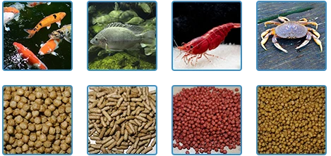kinds of fish feed pellets