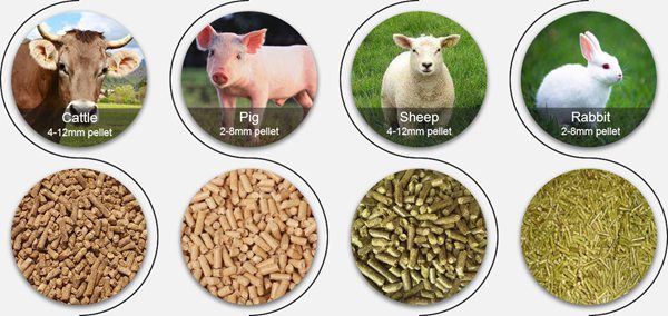 raw materials for livestock feed pellet machine