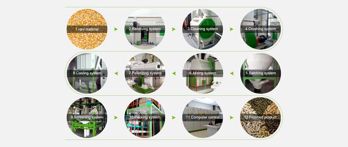 process of chicken feed pellet production line