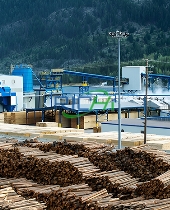 20-30T/H wood pellet mill price