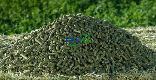 Choose alfalfa pellet machine according to productivity