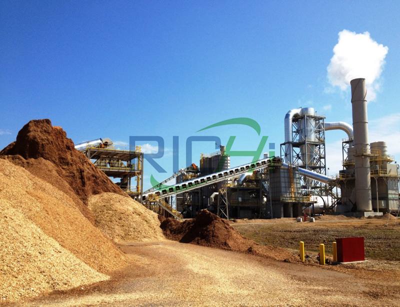 2-3T/H Wood Pellet Mill In Canada