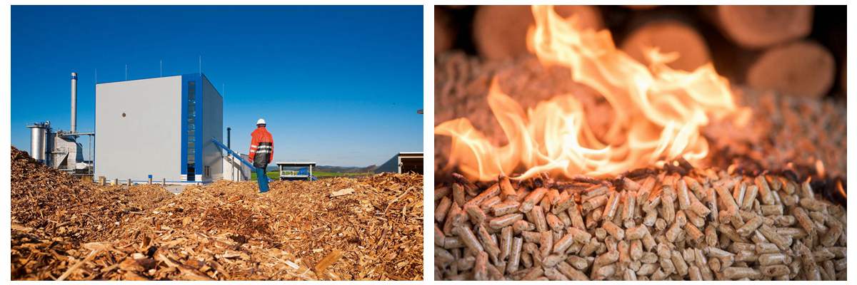 advantages of wood pellet plant for sale