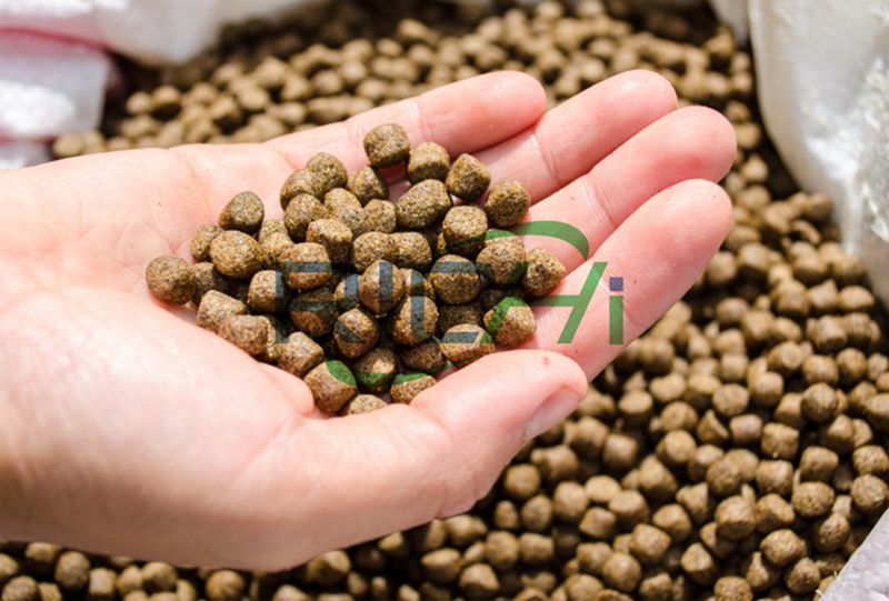 From the fish feed pellets