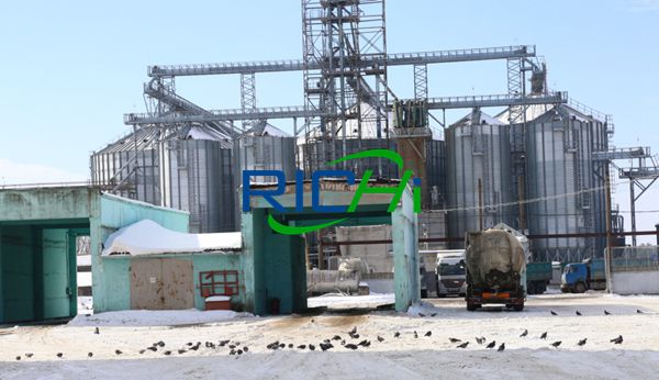 Large complete feed pellet production line