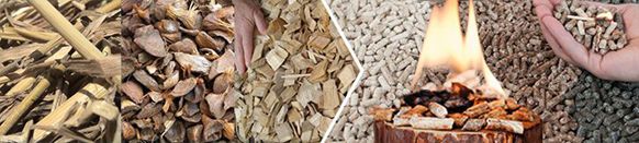 various kinds of biomass pellets