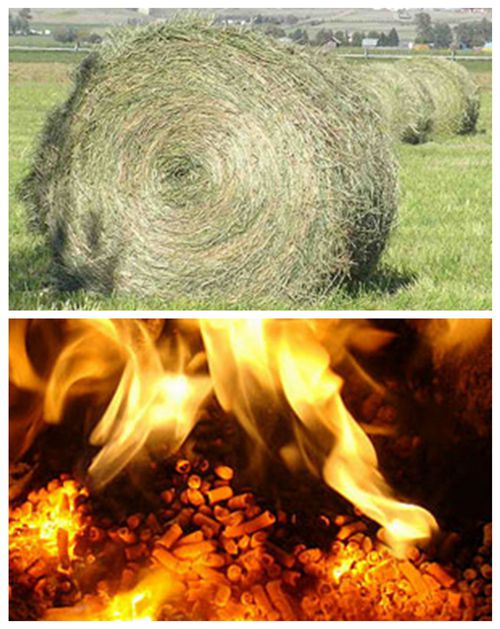 Problems Need To Pay Attention To When Producing Fuel In Hay Pellet Machine