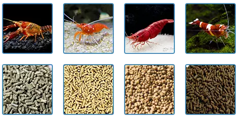 shrimp feed pellets made by shrimp feed pellet machine