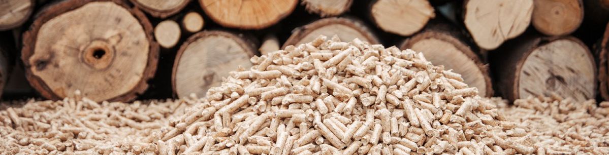 wood pellet plant