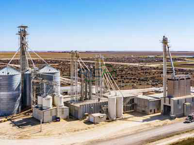 10TH Cattle Feed Pellet Production Line In South Africa