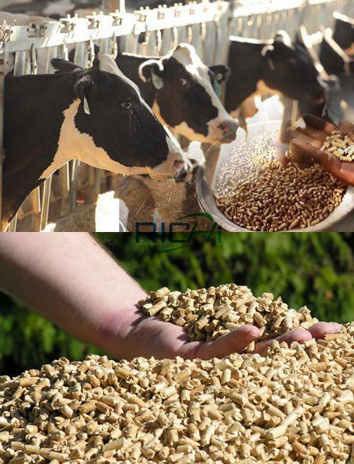 benefits of hay pellets for feed