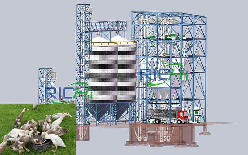 Duck feed plant