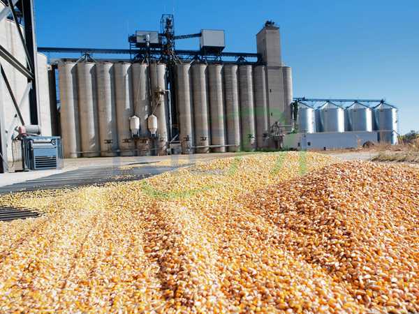 Animal feed production line