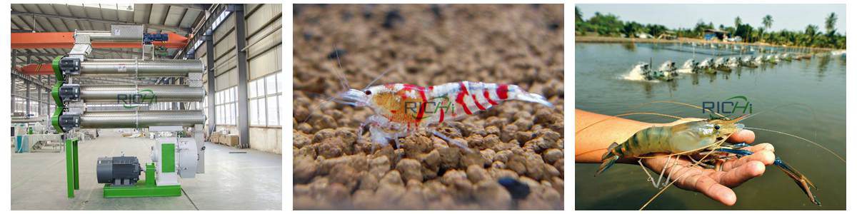 shrimp feed plant