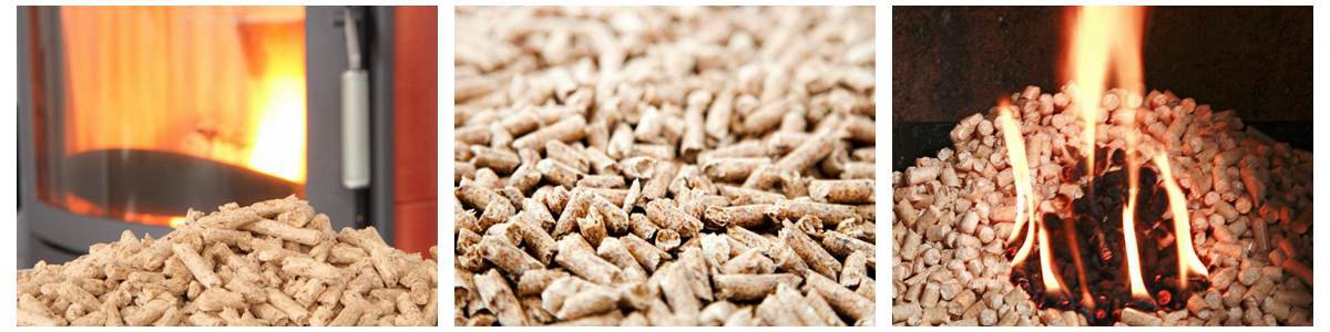 what need to prepare to start a biomass pellet business?