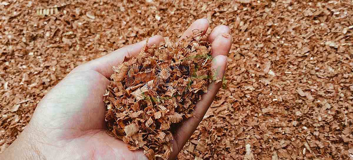 How to adjust the moisture content when making sawdust pellets