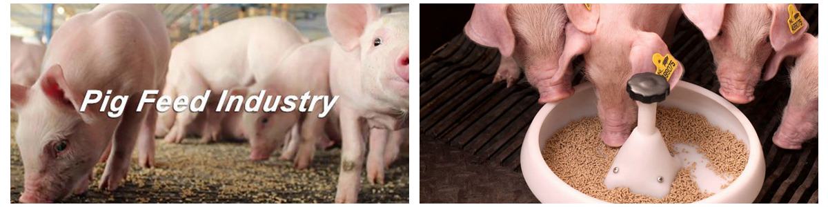 How to save energy consumption in different parts of pig feed mill plant