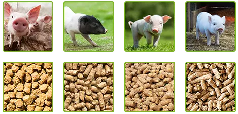 pig feed pellets