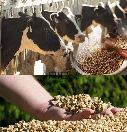 benefits of cow feed pellets