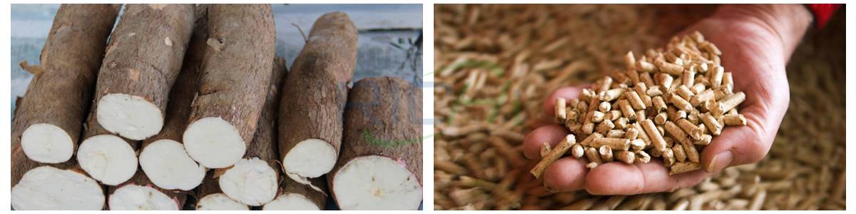 benefits of cassava pellets
