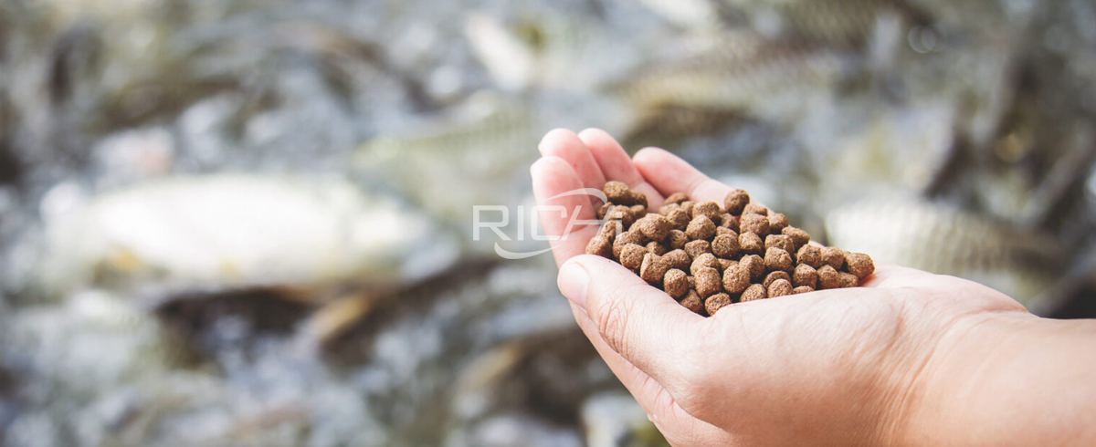 Why invest in fish pellet machine Malaysia
