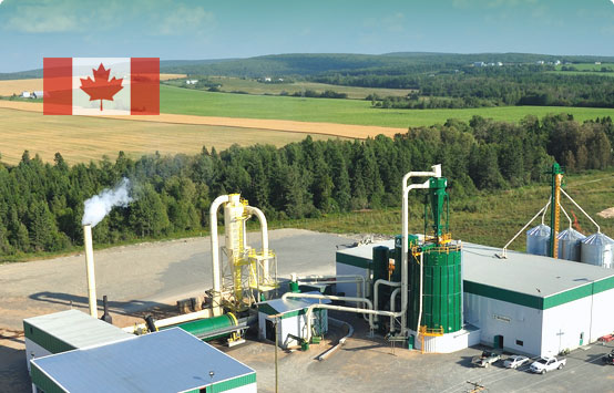 Biomass pellet production line in America
