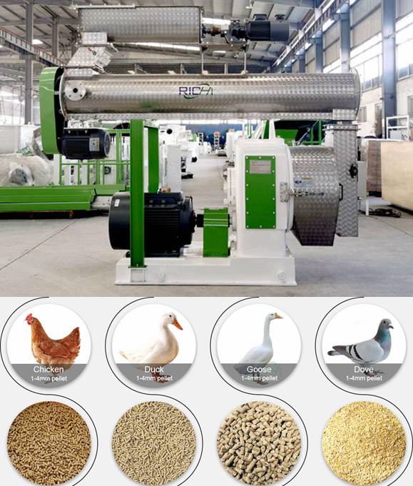 How to choose a suitable poultry feed mill machine