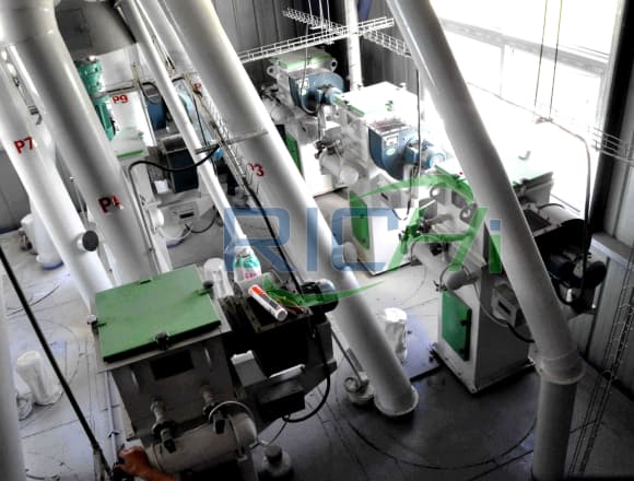10T/H livestock feed pellet mill for sale In South Africa