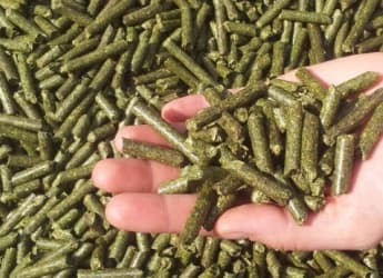 2-3 tons/hour Alfalfa pellet production line
