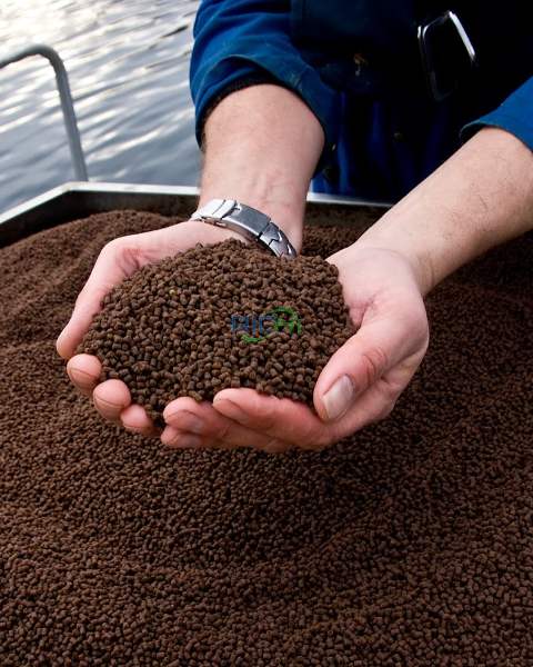 Benefits of fish feed pellets