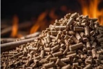 Biomass energy production