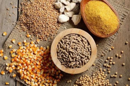 Compatible with Many Types of Raw Materials