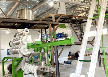 Fish Feed Production Line In Uzbekistan: Design by RICHI Machinery