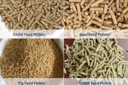 Producing Feed Pellets for All Livestock Types
