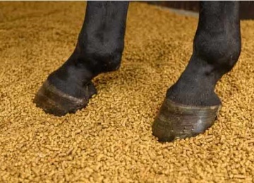Animal bedding and feed additives Application Field