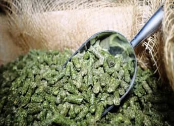 10-20 tons/hour grass pellet plant