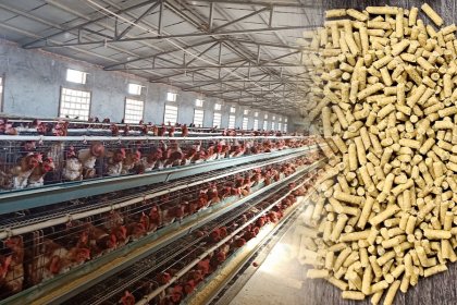 pellet making machine for poultry feed