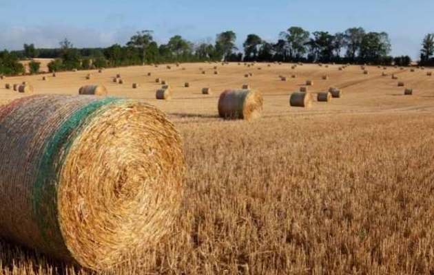agricultural resource